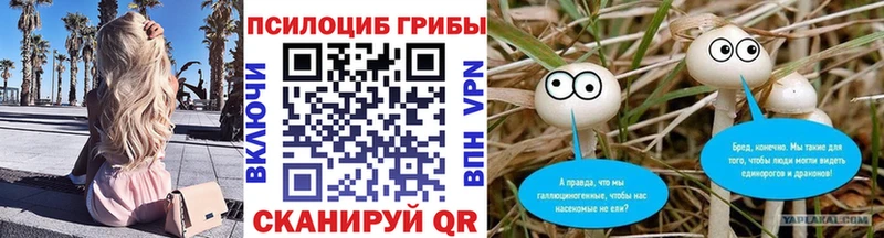 Псилоцибиновые грибы Magic Shrooms  даркнет сайт  Пестово 